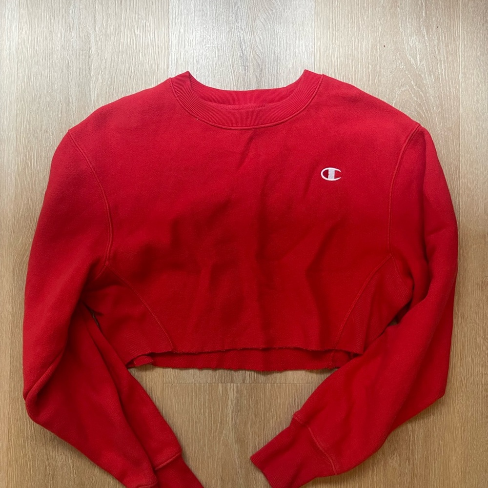 Champion sweater